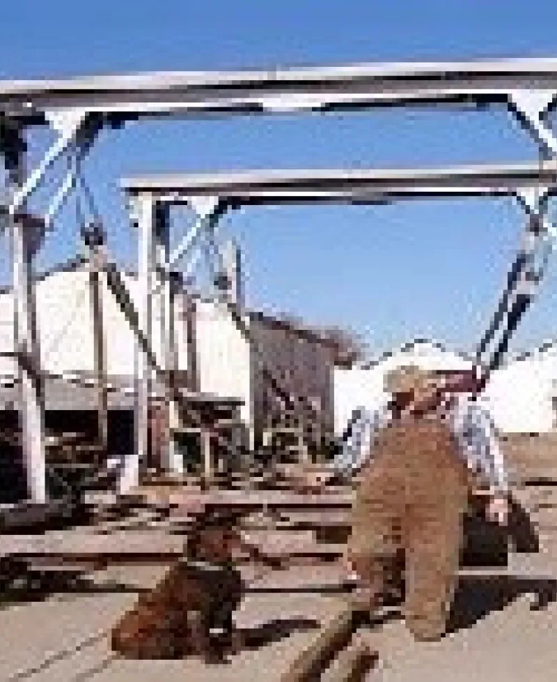 Marina worker and dog Photo