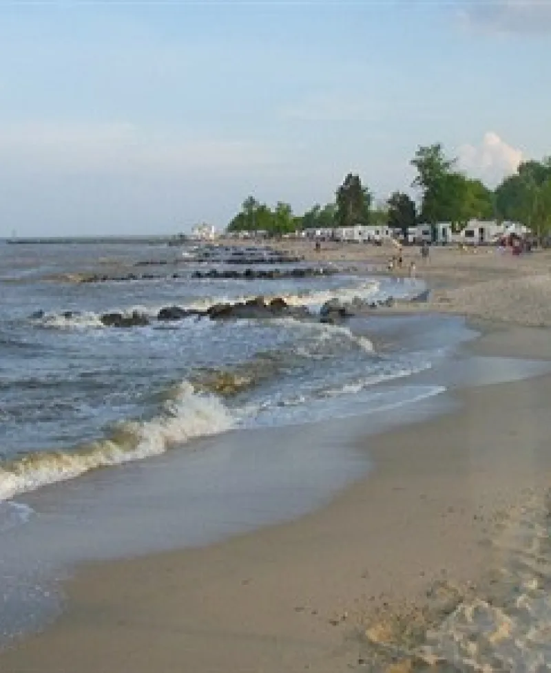 Scenic Byways-Roots and Tides Photo