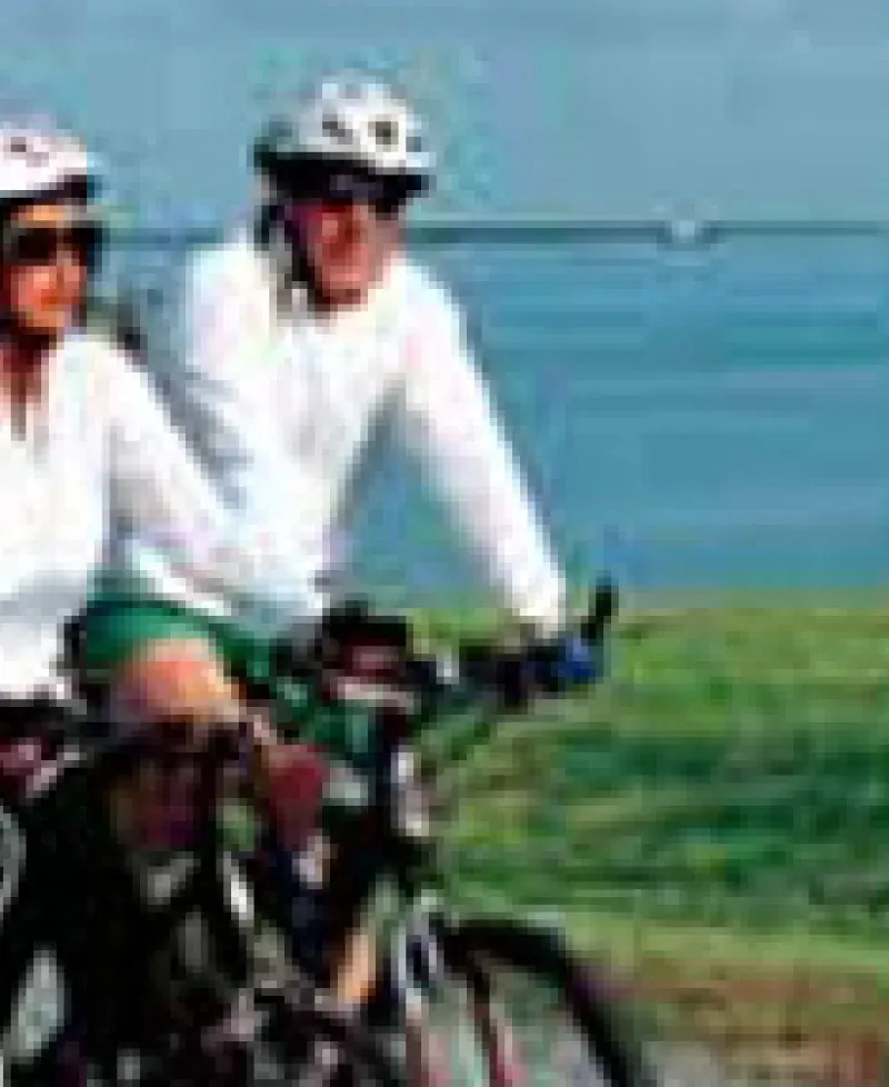 Bicyclists Photo