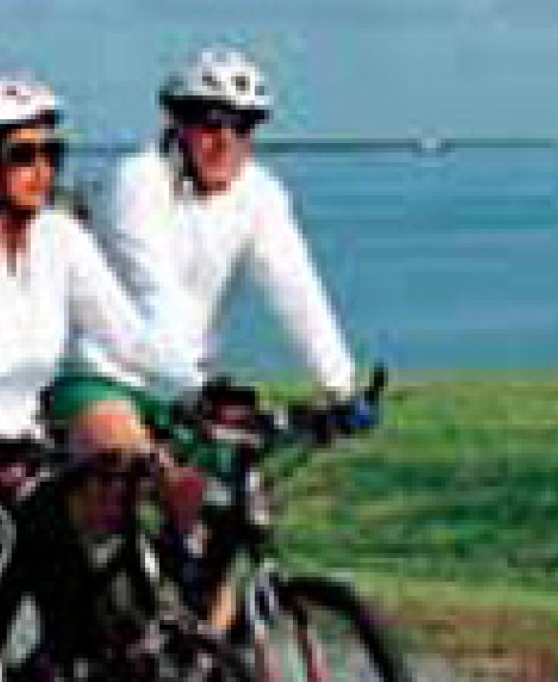 Bicyclists Photo