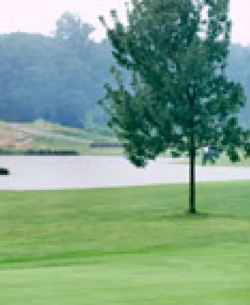 Golfing Photo