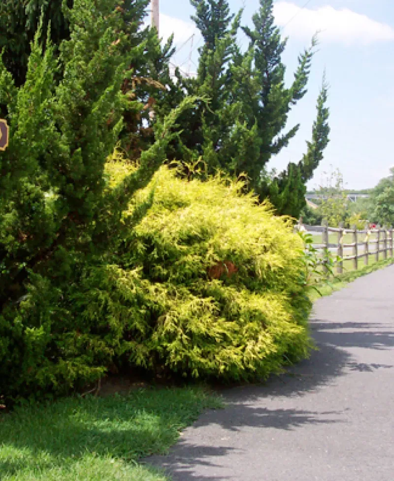 Lower Susquehanna Greenway Heritage Trail Photo