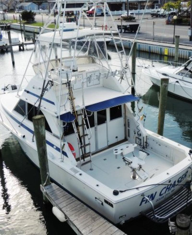 Picture of the "Fin Chaser" Photo