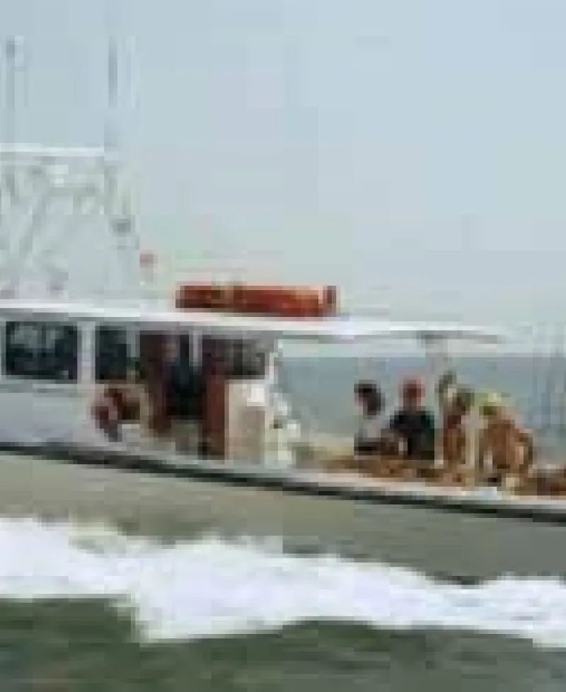 Enjoy fishing aboard the Striker - Picture Photo