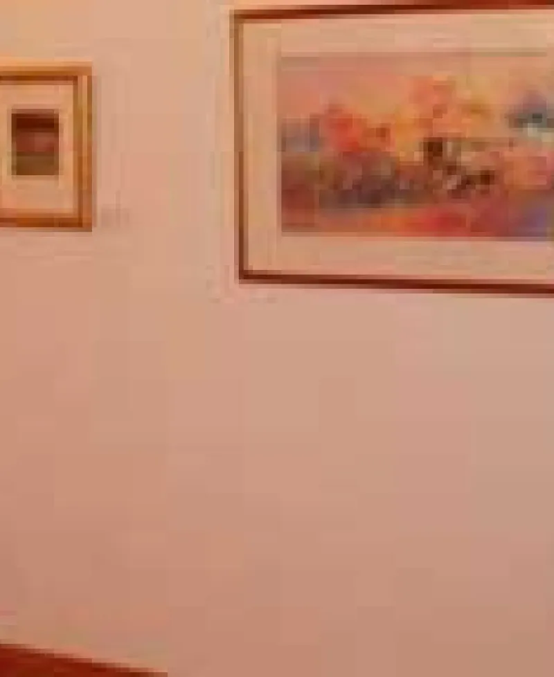Exhibit at the Mosely Gallery Photo