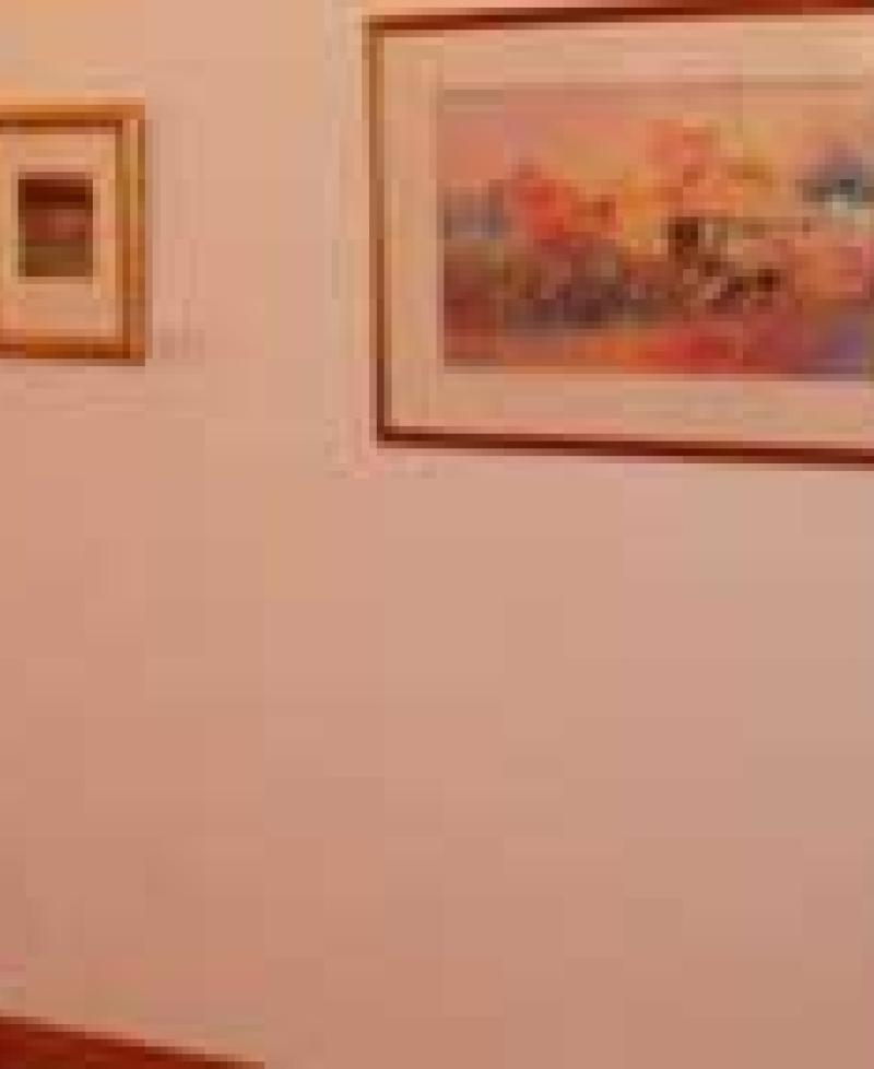 Exhibit at the Mosely Gallery Photo