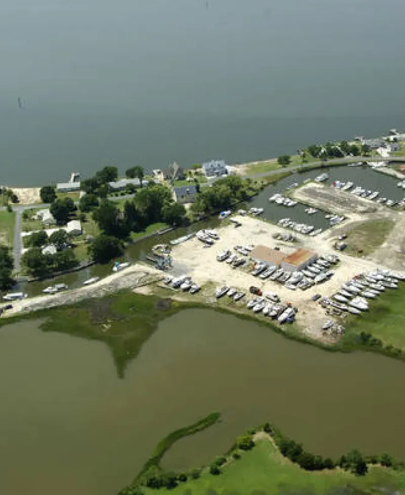 Aerial view of Scott's Cove Marina Photo
