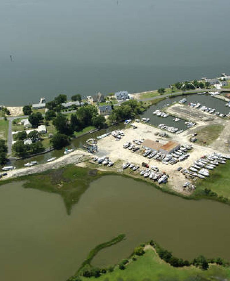 Aerial view of Scott's Cove Marina Photo