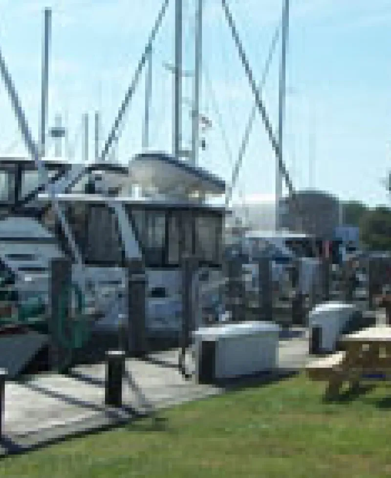 Yachts at the Marina Photo