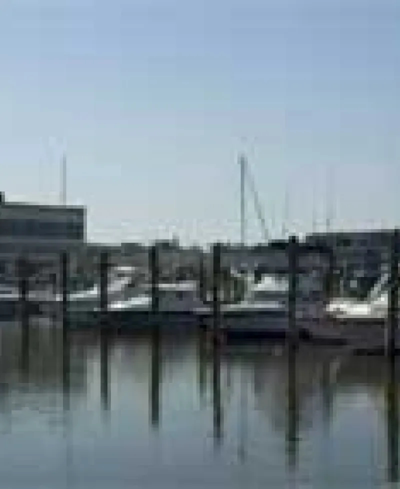 Boats at the Rod N' Reel Marina Photo