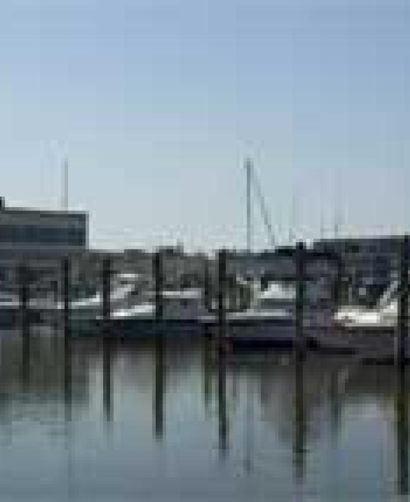 Boats at the Rod N' Reel Marina Photo