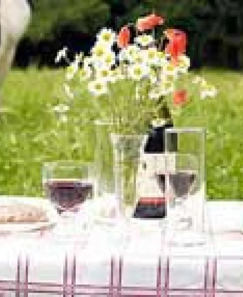 Table set in a pasture Photo