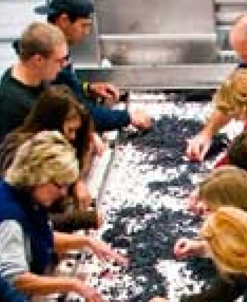 Workers at Winery Photo