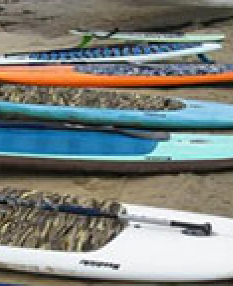 Shore Pedal and Paddle Photo