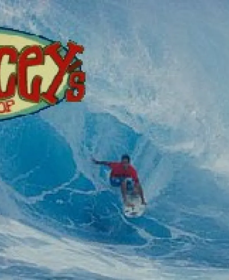 Surfer catches a perfect wave Photo