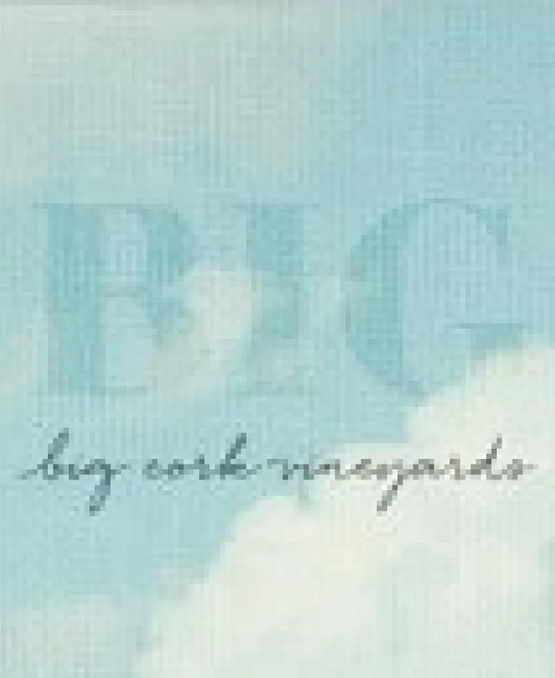 Big Cork Vineyards logo Photo
