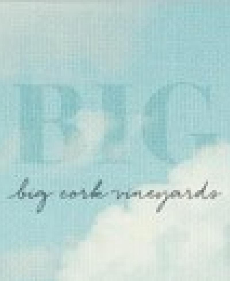 Big Cork Vineyards logo Photo