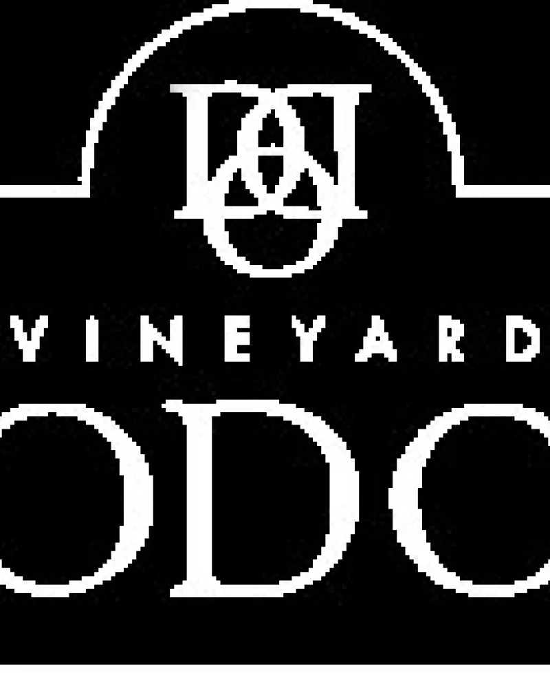 The Vineyards of Dodon Photo