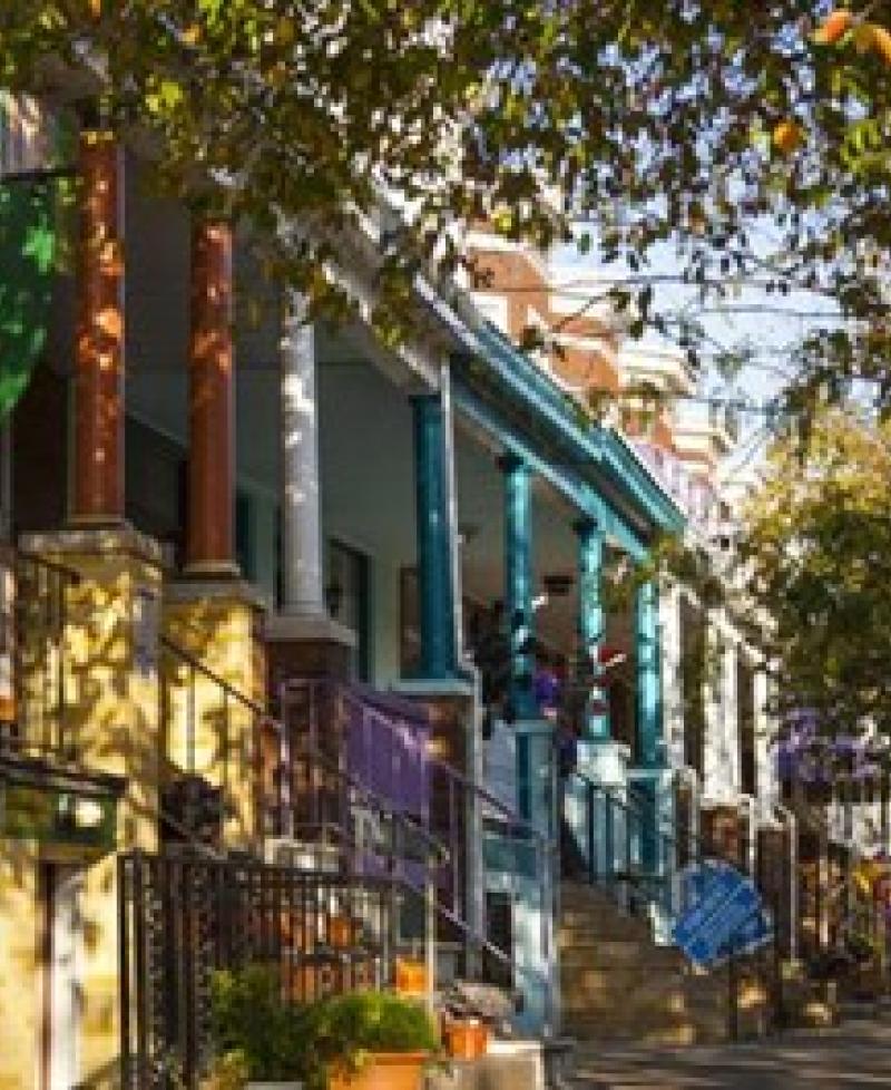 Avenue in Hampden Photo