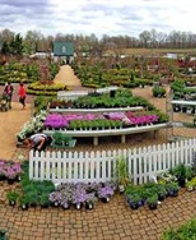 Outdoor shopping area of Homestead Gardens. Photo