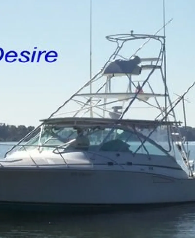 "My Desire" runs charters on this Cabo Express Photo