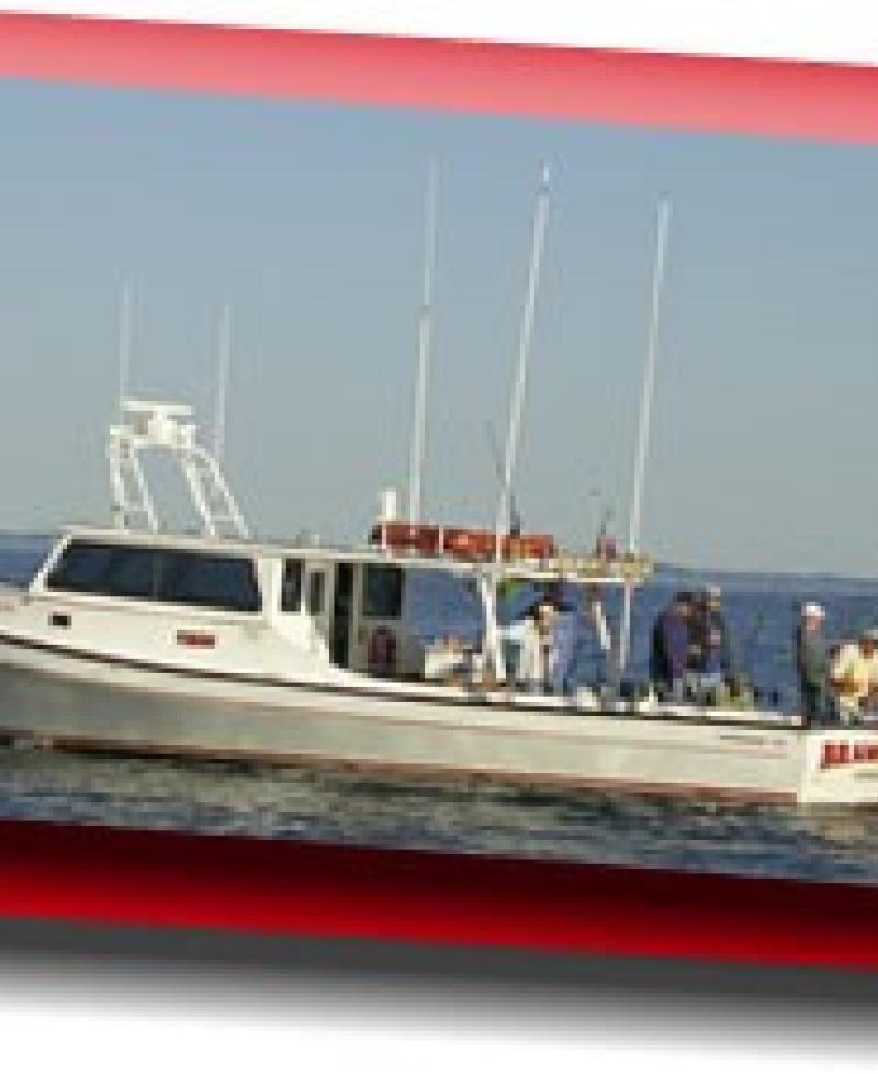 The Brawler II charters fishing trips in the mid-Bay area. Photo