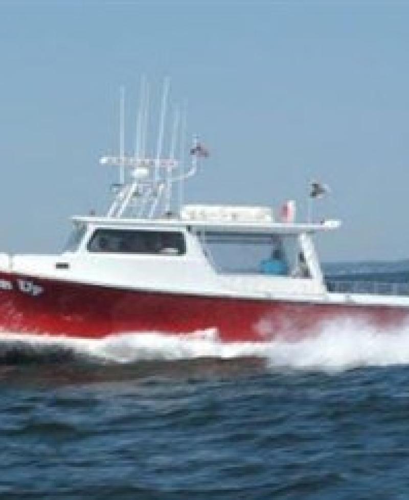 Loosen Up Charterboat on the Bay Photo