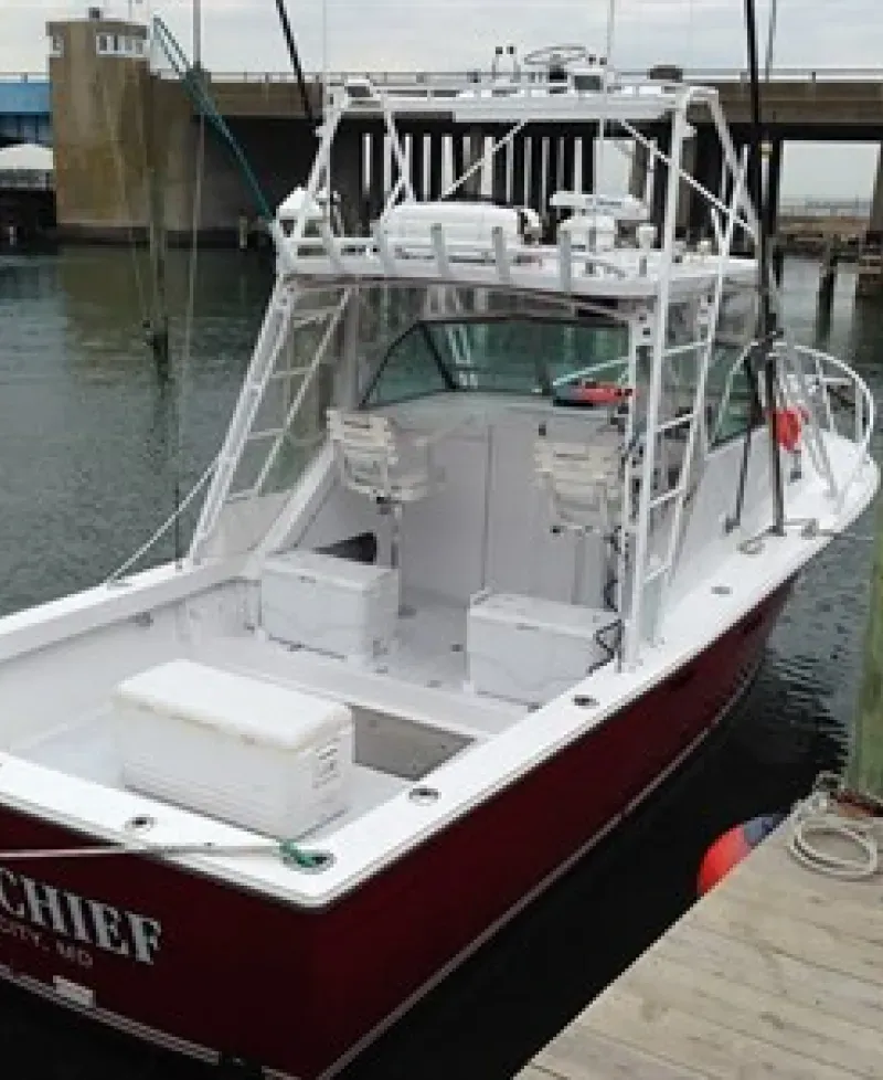 Reef Chief ready to set out for the day Photo