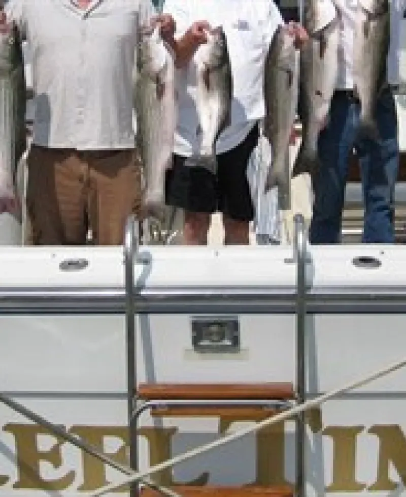 The Reel Time Charterboat Photo