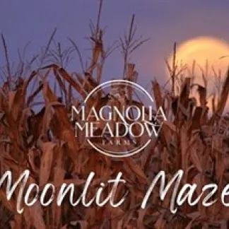 Moonlit corn maze at Magnolia Meadow Farms Photo