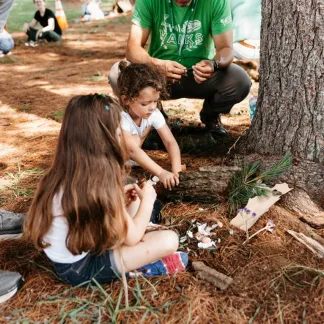 Children gather at the base of pine trees to build fairy houses.  Photo