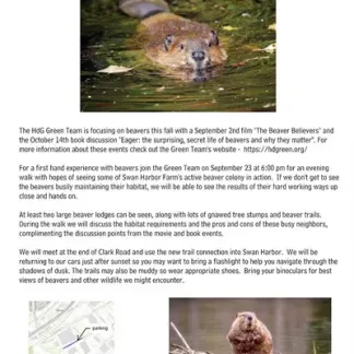 Beaver Watching Photo