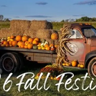 Pick your own pumpkins, sunflowers, and wildlfowers during our Fall Festival! Photo