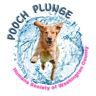 Pooch Plunge Logo Photo