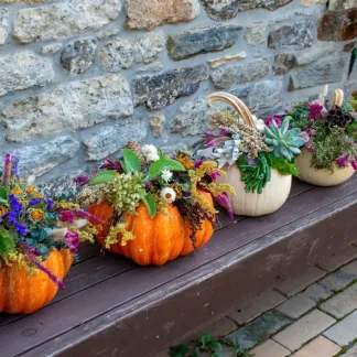 Pumpkin workshop Photo