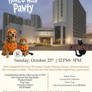 Howl-O-Ween Sunday, October 25 from 12-3:00 PM Photo