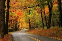 https://www.visitdeepcreek.com/autumnglory/ Photo