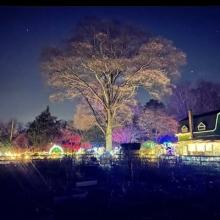 Willow Oak's North Pole Trail Photo