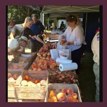 Berlin Peach Festival Photo