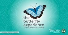 The Butterfly Experience Photo