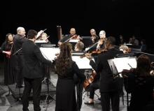NSS Orchestra Performance Photo