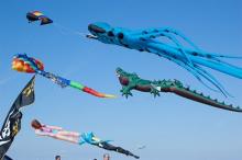 kite fest Photo