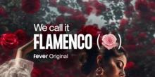 We call it Flamenco: A Sensational Spanish Dance Show Photo