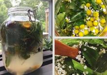 Gain hands-on experience with simple fermentation techniques! Photo
