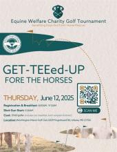 golf flyer Photo