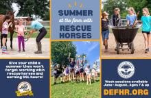 Camp ad Photo