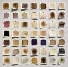 Delve into historical and contemporary methods of making inks with plants foraged from the farm Photo