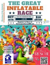 The Great Inflatable Race Photo