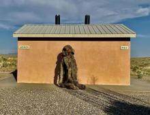 Performance Photography by Melissa Sutherland Moss Photo