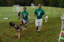 Doggie Dash Photo